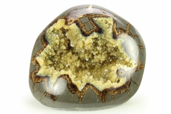 Polished, Crystal Filled Septarian Nodule - Utah #272920